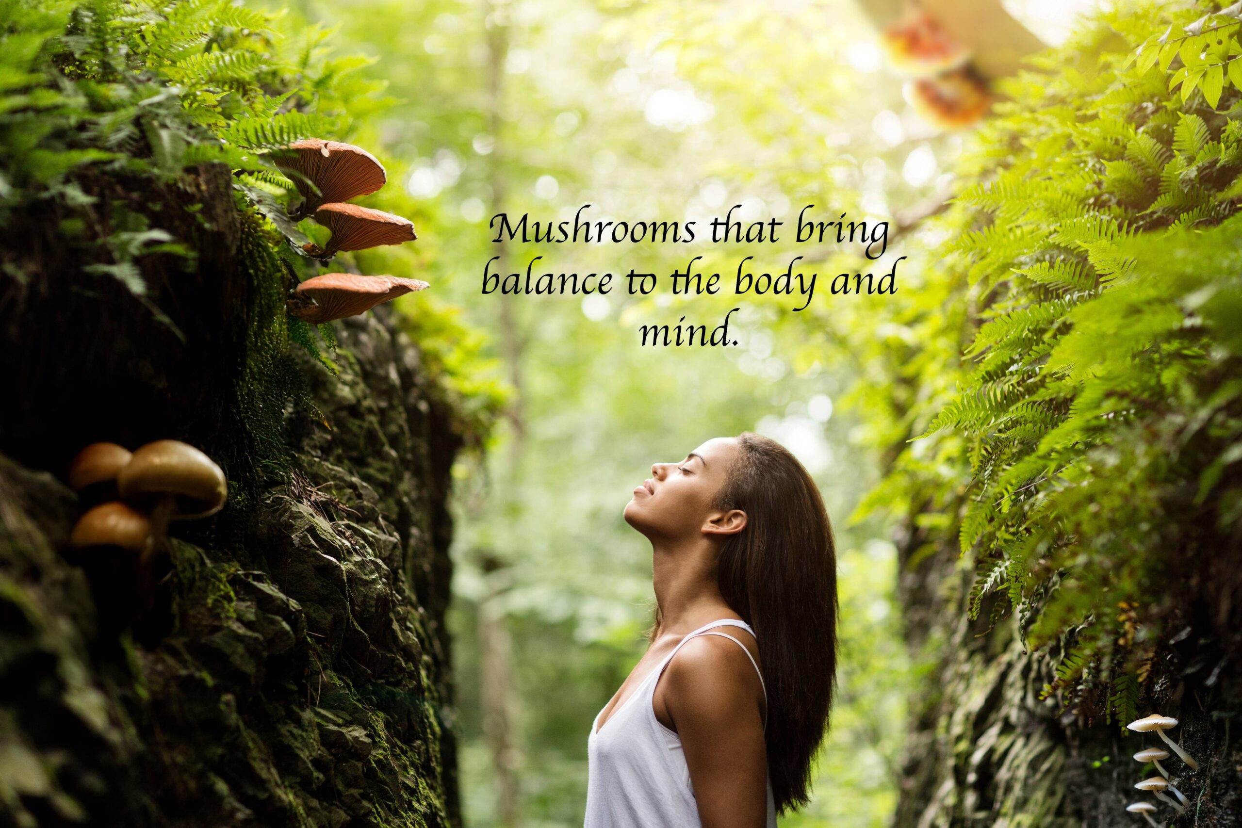 8 Mushroom liquid tincture with Lions Mane and Reishi – view 3